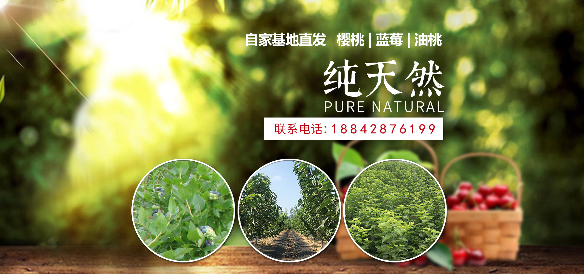 通栏图片